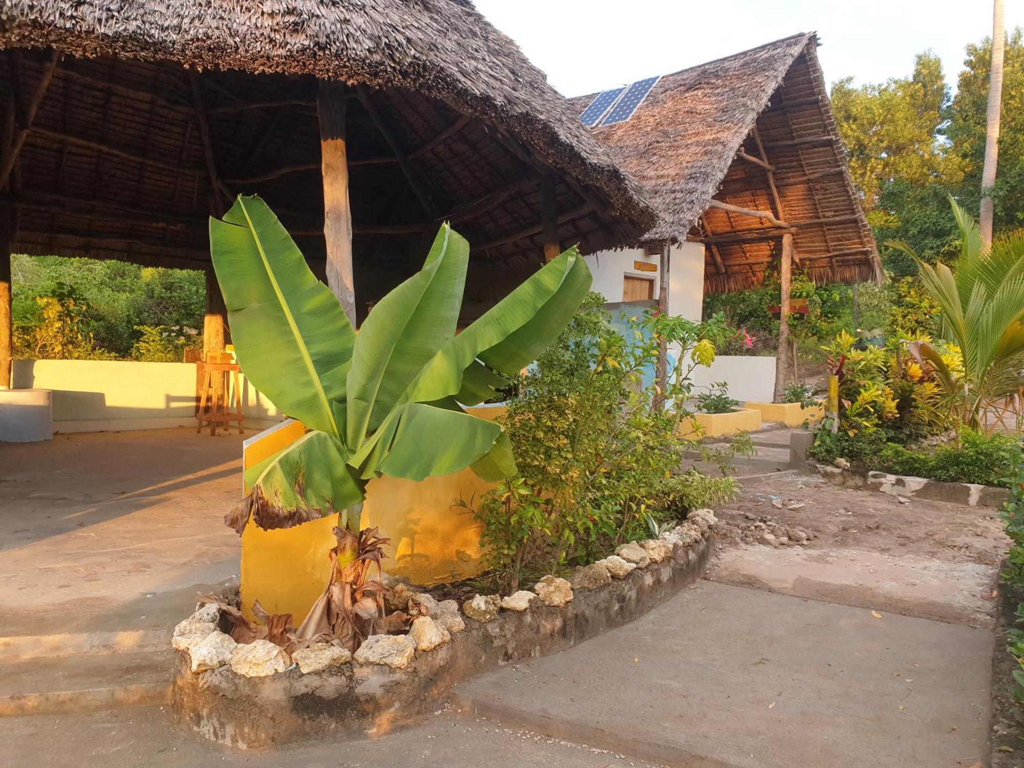Rasta House Bed & Breakfast Kilindoni Exterior photo